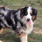 Fb img 1740555379524