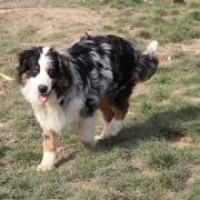 Fb img 1740555383539