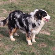 Fb img 1740555387529