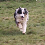 Fb img 1740555391342