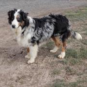 Fb img 1740555394650